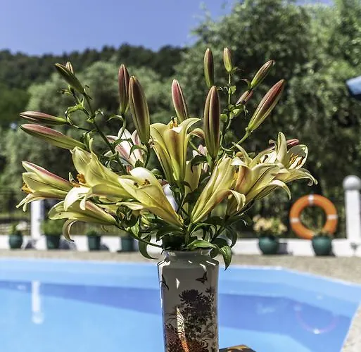 Hotel Sylvia Koinira