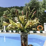 Отель Sylvia Коинира