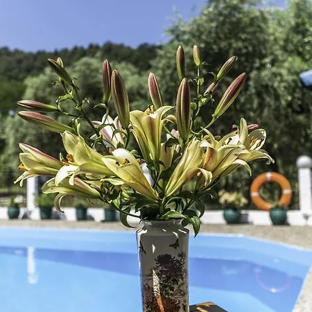 Hotel Sylvia Kinira