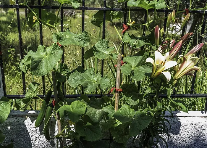 Отель Sylvia 2*